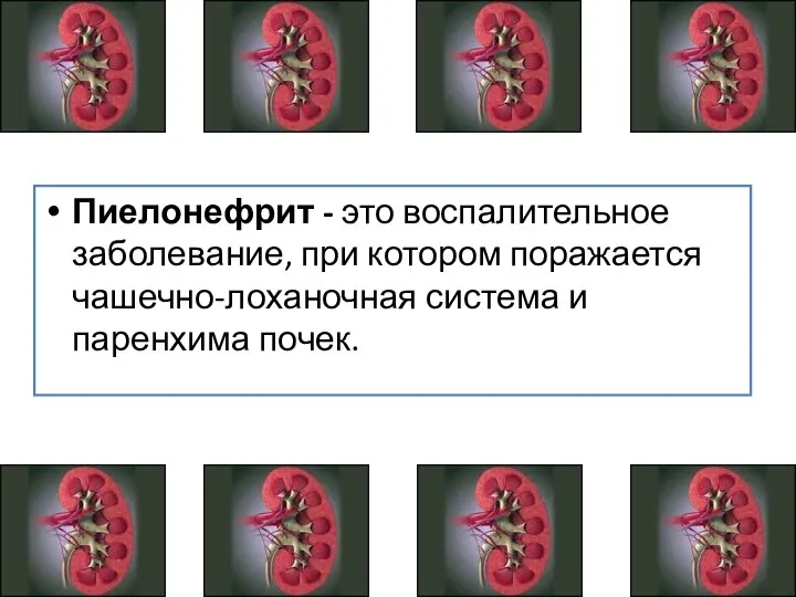 Пиелонефрит - это воспалительное заболевание, при котором поражается чашечно-лоханочная система и паренхима почек.