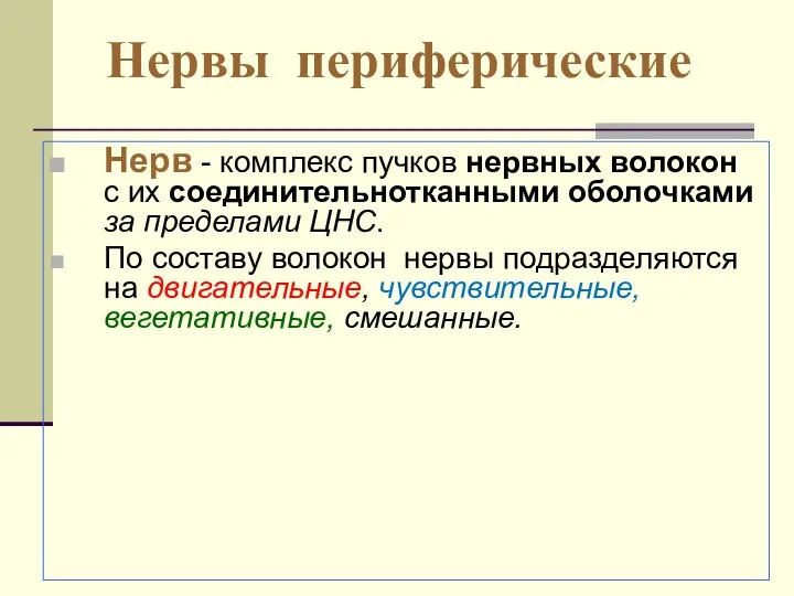 Нервы периферические Нерв - комплекс пучков нервных волокон с их соединительнотканными