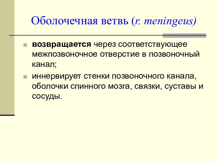 Оболочечная ветвь (r. meningeus) возвращается через соответствующее межпозвоночное отверстие в позвоночный