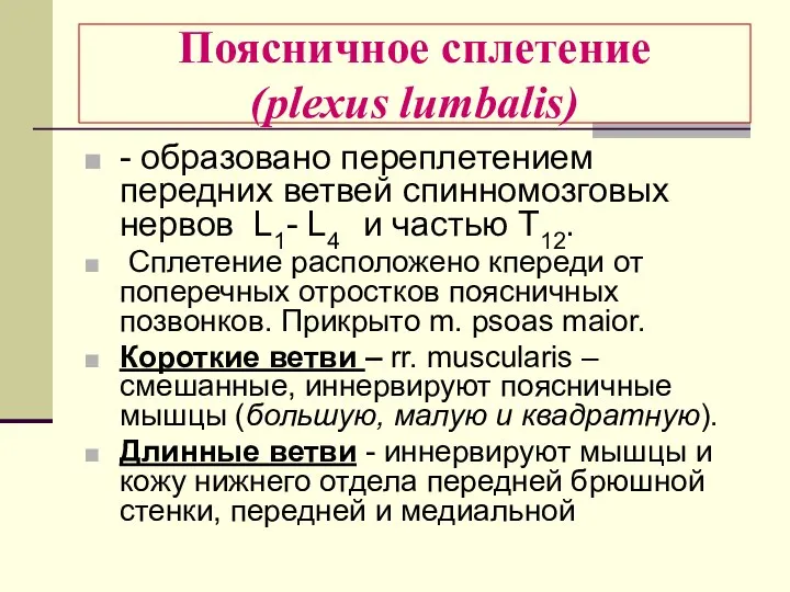 Поясничное сплетение (plexus lumbalis) - образовано переплетением передних ветвей спинномозговых нервов