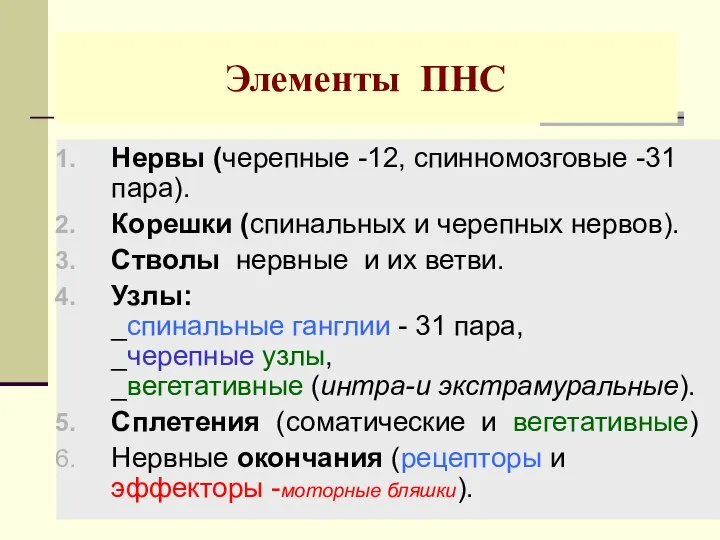 Элементы ПНС Нервы (черепные -12, спинномозговые -31 пара). Корешки (спинальных и