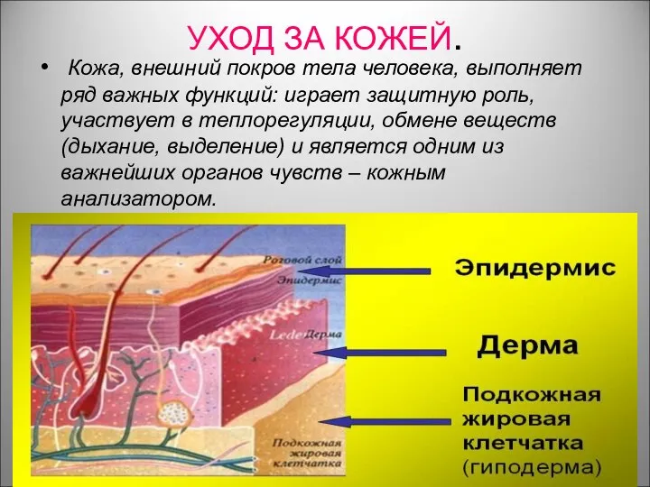 УХОД ЗА КОЖЕЙ. Кожа, внешний покров тела человека, выполняет ряд важных