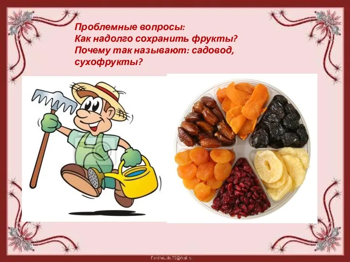 Проблемные вопросы: Как надолго сохранить фрукты? Почему так называют: садовод, сухофрукты?