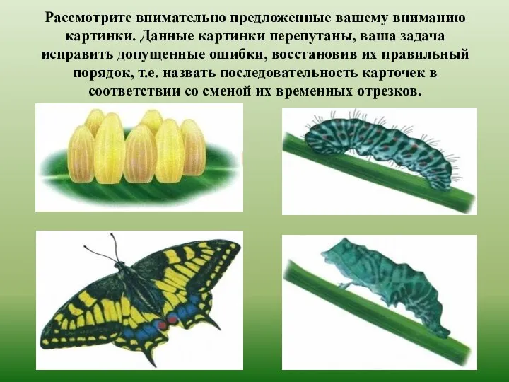 Рассмотрите внимательно предложенные вашему вниманию картинки. Данные картинки перепутаны, ваша задача