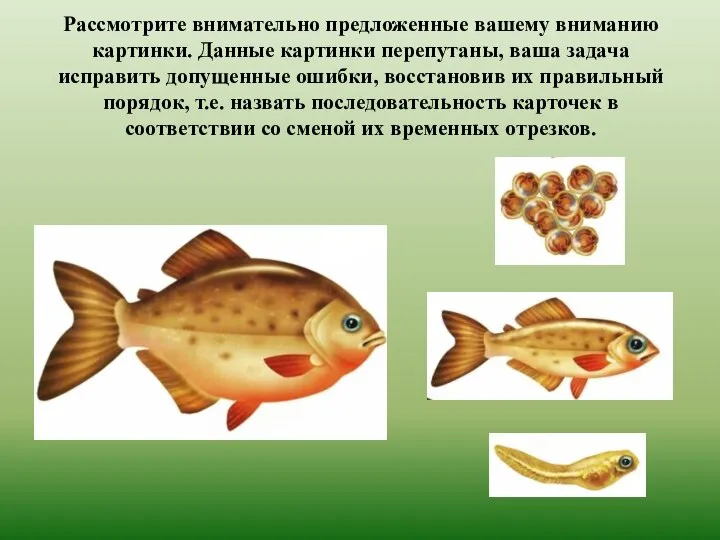 Рассмотрите внимательно предложенные вашему вниманию картинки. Данные картинки перепутаны, ваша задача