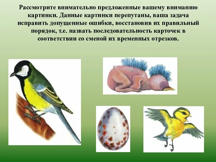 Рассмотрите внимательно предложенные вашему вниманию картинки. Данные картинки перепутаны, ваша задача