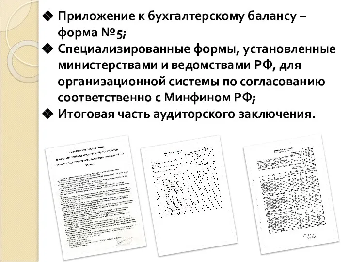 Приложение к бухгалтерскому балансу – форма №5; Специализированные формы, установленные министерствами