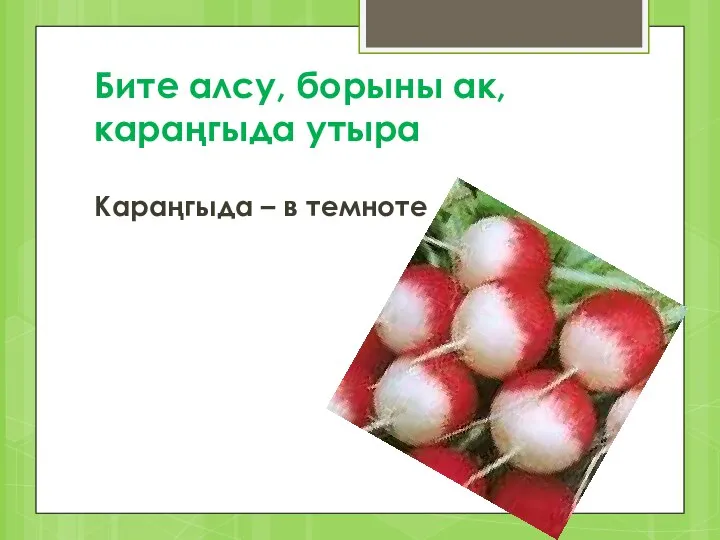 Бите алсу, борыны ак, караңгыда утыра Караңгыда – в темноте