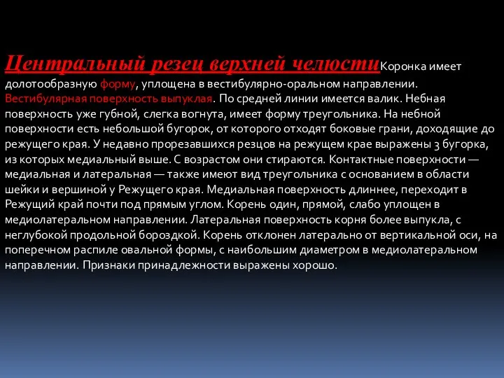 Центральный резец верхней челюстиКоронка имеет долотообразную форму, уплощена в вестибулярно-оральном направлении.