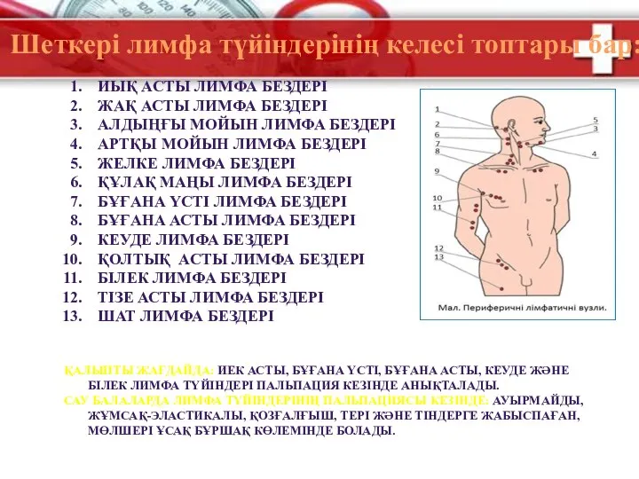 Шеткері лимфа түйіндерінің келесі топтары бар: ИЫҚ АСТЫ ЛИМФА БЕЗДЕРІ ЖАҚ