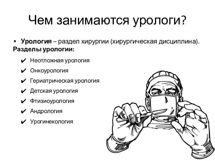 Чем занимаются урологи? Урология – раздел хирургии (хирургическая дисциплина). Разделы урологии: