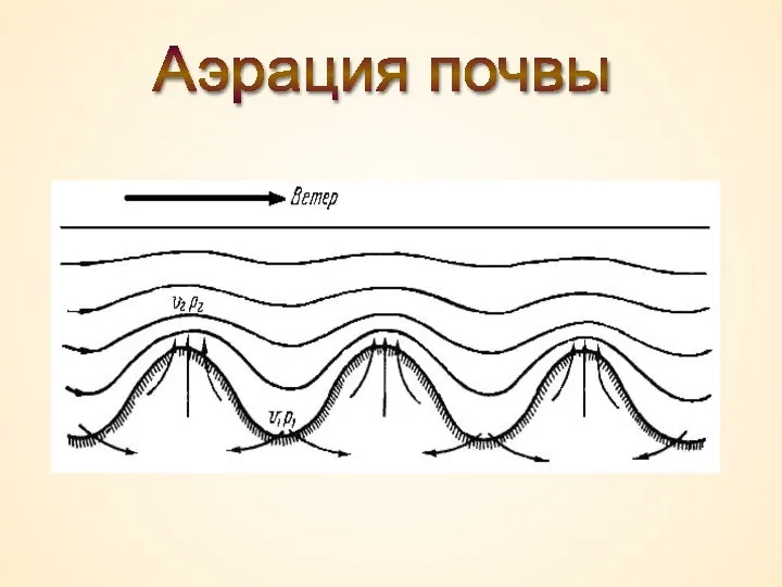 Аэрация почвы