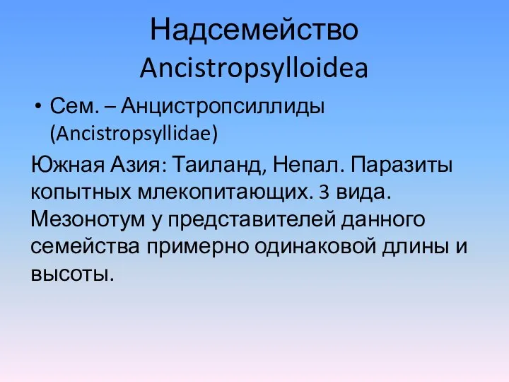 Надсемейство Ancistropsylloidea Сем. – Анцистропсиллиды (Ancistropsyllidae) Южная Азия: Таиланд, Непал. Паразиты