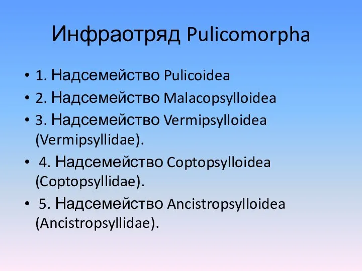 Инфраотряд Pulicomorpha 1. Надсемейство Pulicoidea 2. Надсемейство Malacopsylloidea 3. Надсемейство Vermipsylloidea
