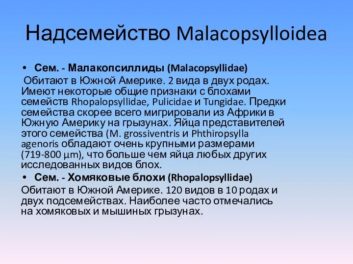 Надсемейство Malacopsylloidea Сем. - Малакопсиллиды (Malacopsyllidae) Обитают в Южной Америке. 2