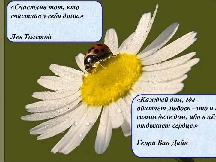 «Счастлив тот, кто счастлив у себя дома.» Лев Толстой «Каждый дом,