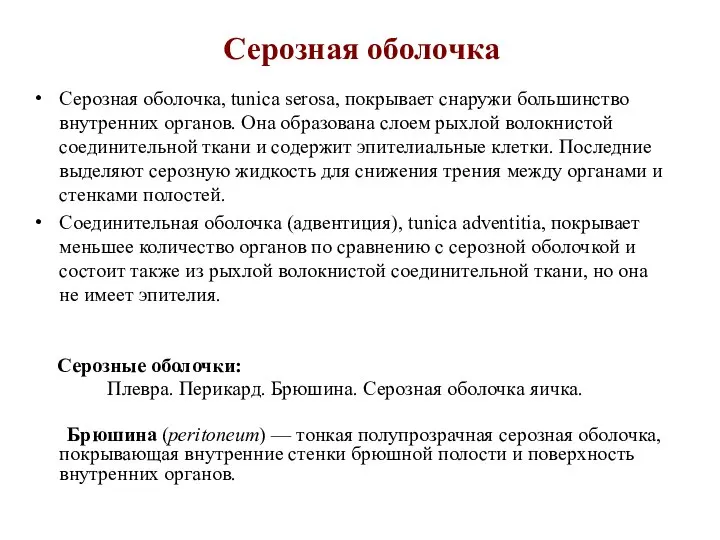 Серозная оболочка Серозная оболочка, tunica serosa, покрывает снаружи большинство внутренних органов.