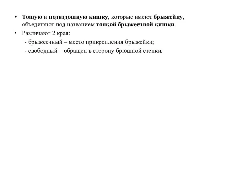 Тощую и подвздошную кишку, которые имеют брыжейку, объединяют под названием тонкой