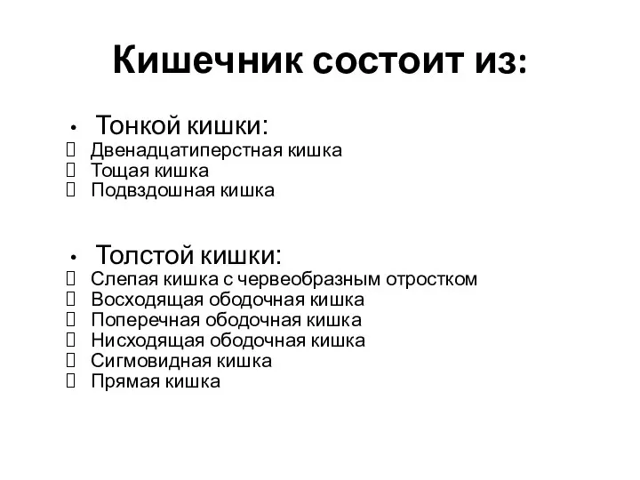 Тонкой кишки: Двенадцатиперстная кишка Тощая кишка Подвздошная кишка Толстой кишки: Слепая