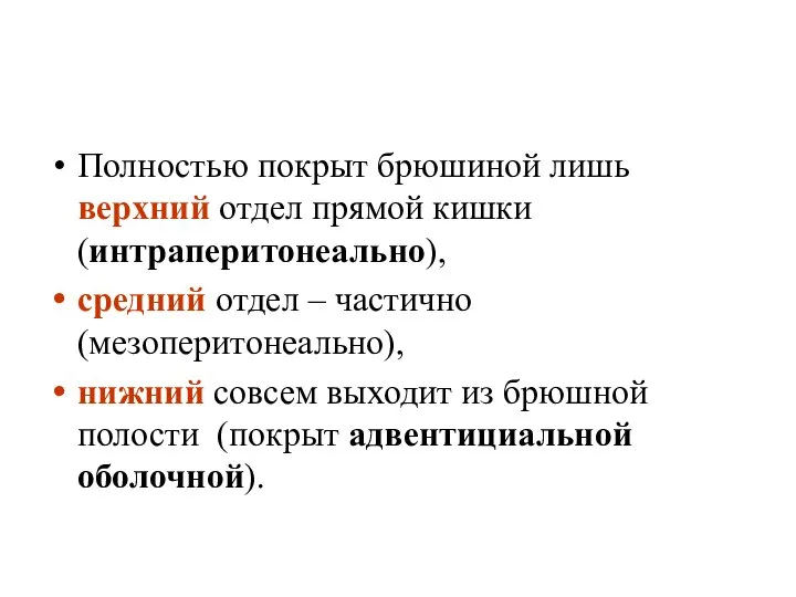 Полностью покрыт брюшиной лишь верхний отдел прямой кишки (интраперитонеально), средний отдел