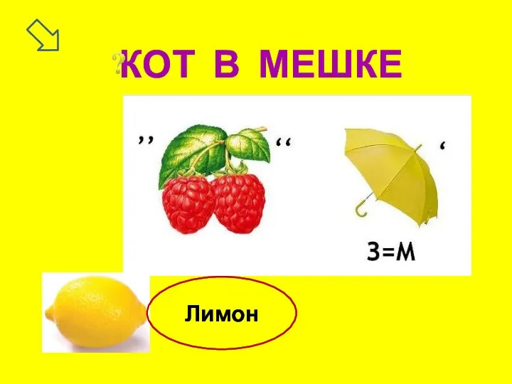 КОТ В МЕШКЕ Лимон