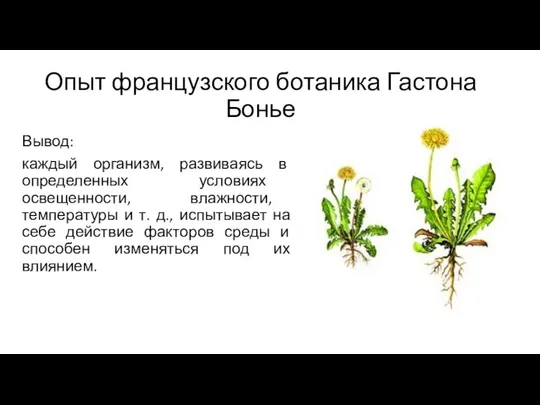 Опыт французского ботаника Гастона Бонье Вывод: каждый организм, развиваясь в определенных