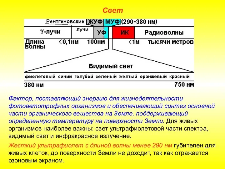 Свет Фактор, поставляющий энергию для жизнедеятельности фотоавтотрофных организмов и обеспечивающий синтез