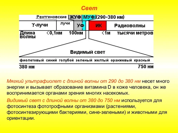 Свет Мягкий ультрафиолет с длиной волны от 290 до 380 нм