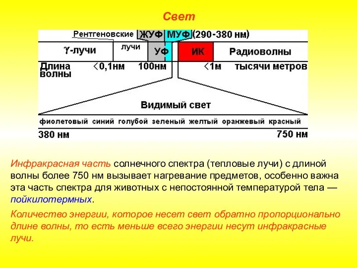 Свет Инфракрасная часть солнечного спектра (тепловые лучи) с длиной волны более