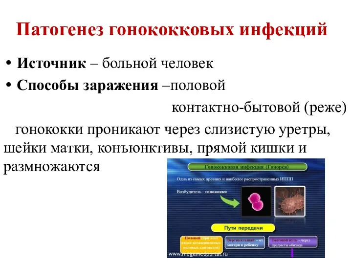 Патогенез гонококковых инфекций Источник – больной человек Способы заражения –половой контактно-бытовой