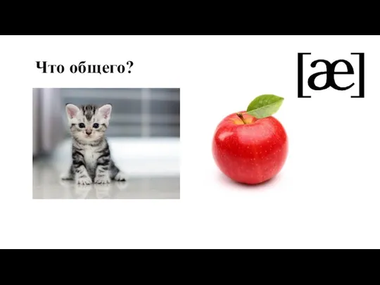 Что общего?