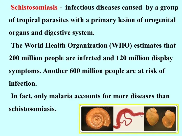 Schistosomiasis - infectious diseases caused by a group of tropical parasites