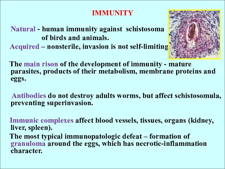 IMMUNITY Natural - human immunity against schistosoma of birds and animals.