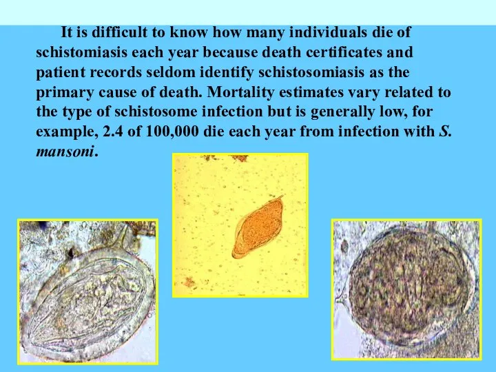 It is difficult to know how many individuals die of schistomiasis