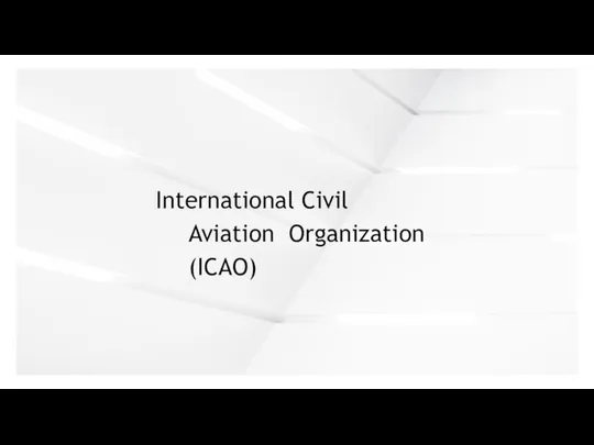 International Civil Aviation Organization (ICAO)