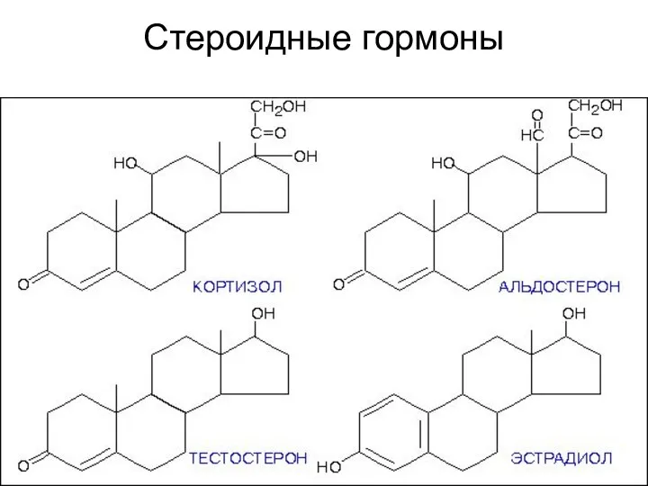 Стероидные гормоны