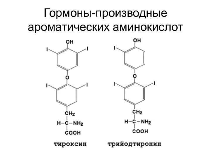 Гормоны-производные ароматических аминокислот