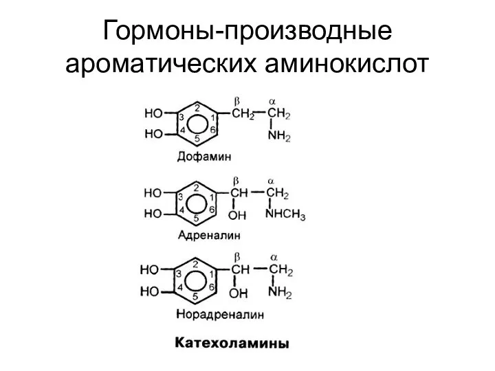 Гормоны-производные ароматических аминокислот