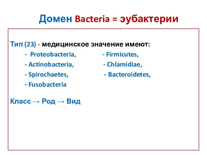 Домен Bacteria = эубактерии Тип (23) - медицинское значение имеют: -