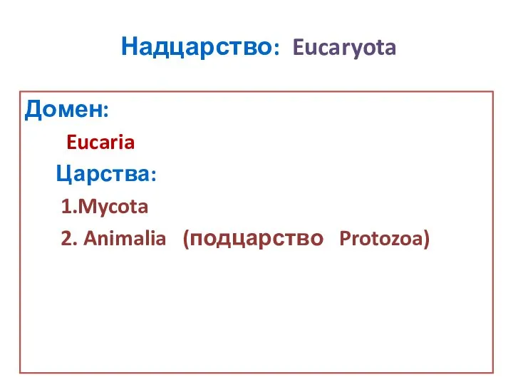 Надцарство: Eucaryota Домен: Eucaria Царства: 1.Mycota 2. Animalia (подцарство Protozoa)