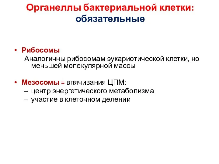 Органеллы бактериальной клетки: обязательные Рибосомы Аналогичны рибосомам эукариотической клетки, но меньшей