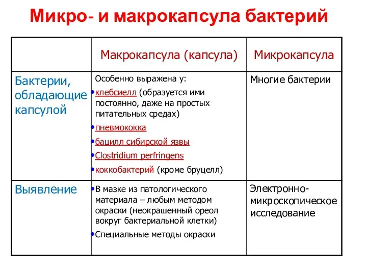 Микро- и макрокапсула бактерий