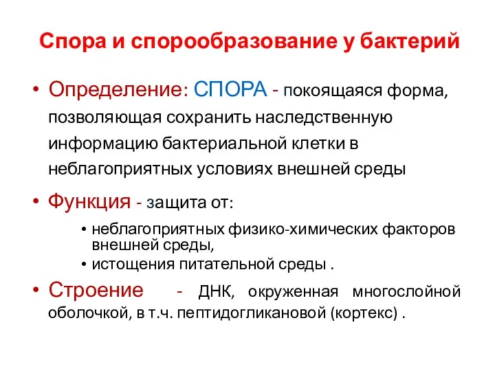 Спора и спорообразование у бактерий Определение: СПОРА - покоящаяся форма, позволяющая