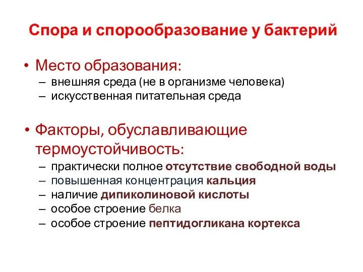 Спора и спорообразование у бактерий Место образования: внешняя среда (не в