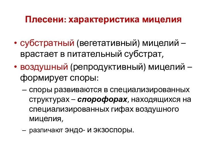 Плесени: характеристика мицелия субстратный (вегетативный) мицелий – врастает в питательный субстрат,