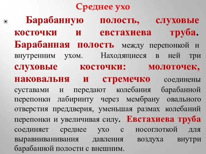 Среднее ухо Барабанную полость, слуховые косточки и евстахиева труба. Барабанная полость