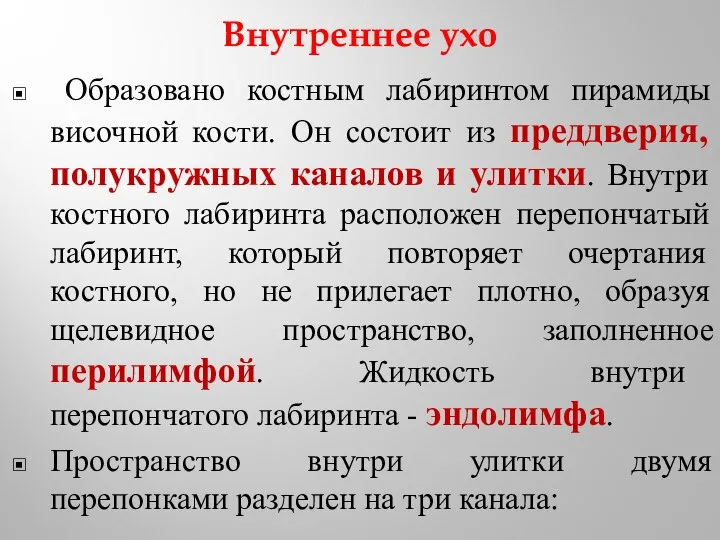 Внутреннее ухо Образовано костным лабиринтом пирамиды височной кости. Он состоит из