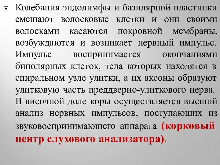 Колебания эндолимфы и базилярной пластинки смещают волосковые клетки и они своими