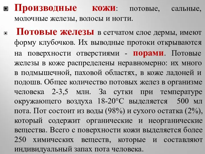 Производные кожи: потовые, сальные, молочные железы, волосы и ногти. Потовые железы