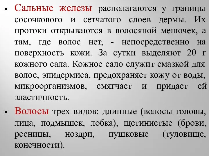 Сальные железы располагаются у границы сосочкового и сетчатого слоев дермы. Их